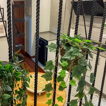 The Areal 90 Studio By Vigovacaciones Vigo